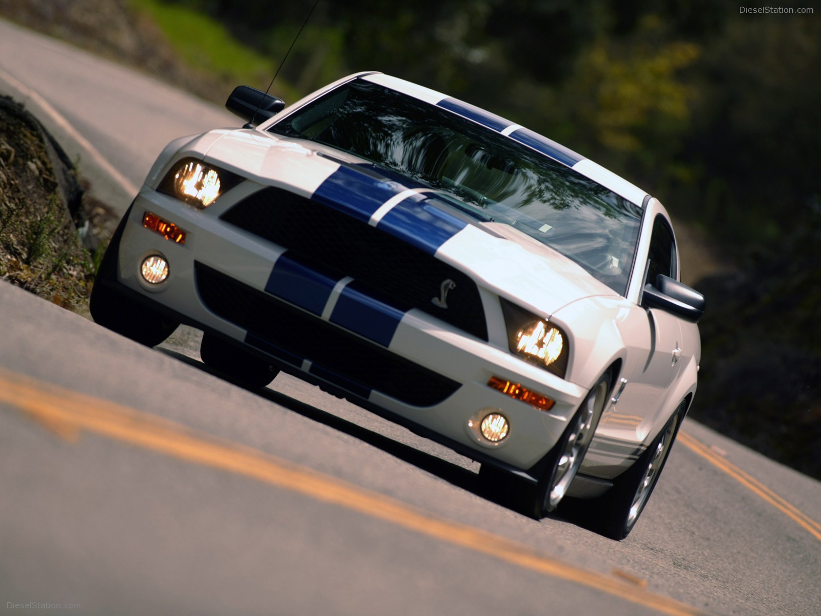 Ford Shelby Cobra GT500